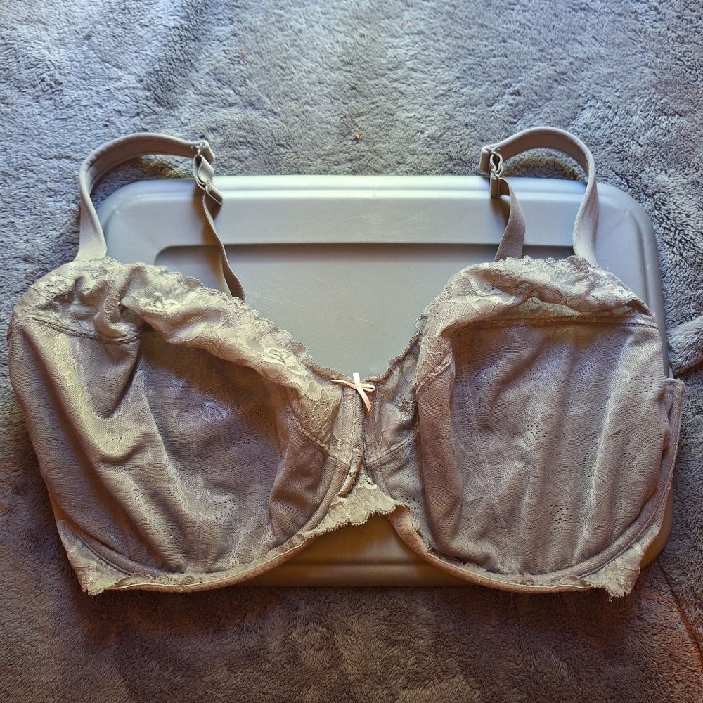 Cacique Layne Bryant Bra